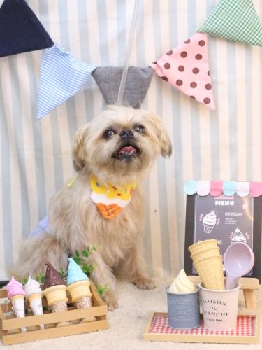 20250518ムーくん